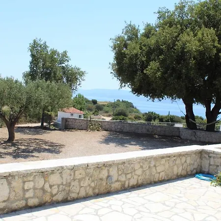 Olivelia